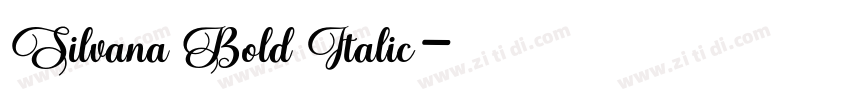 Silvana Bold Italic字体转换